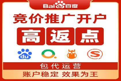 SEM推广案例：揭秘高ROI背后的策略与实践